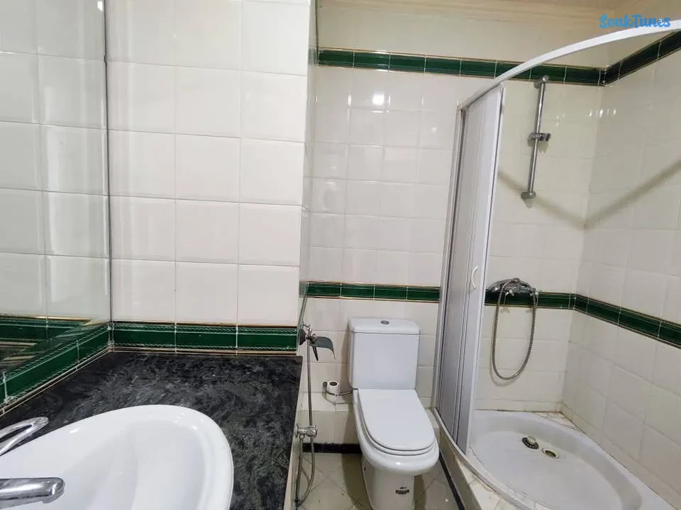 Image 6 de l'annonce  location  S3 lac 1