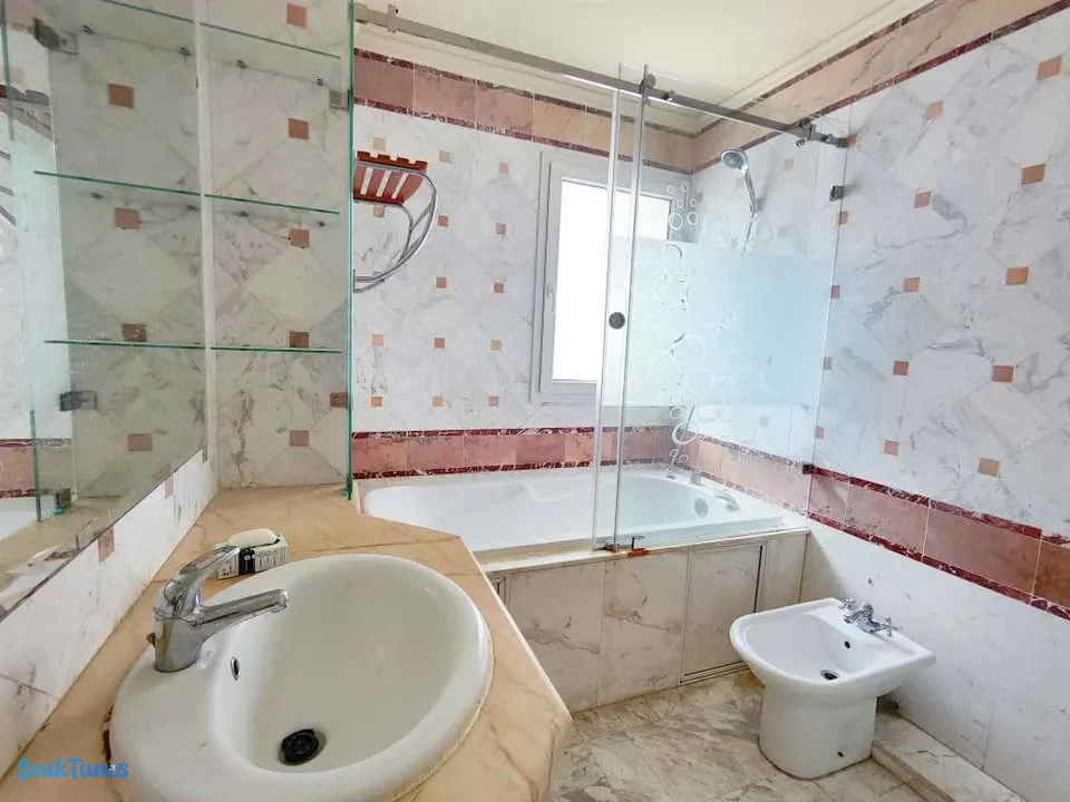Image 8 de l'annonce  location  S3 lac 1