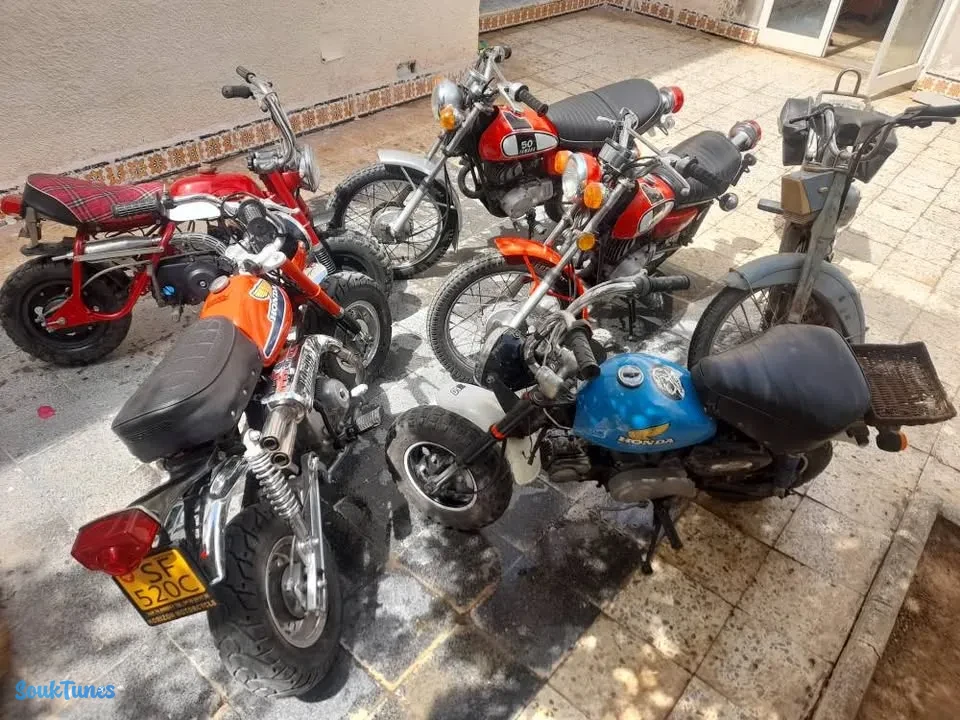Image 14 de l'annonce Collection 8 motos Yamaha 50 GT + Honda monkey Z50