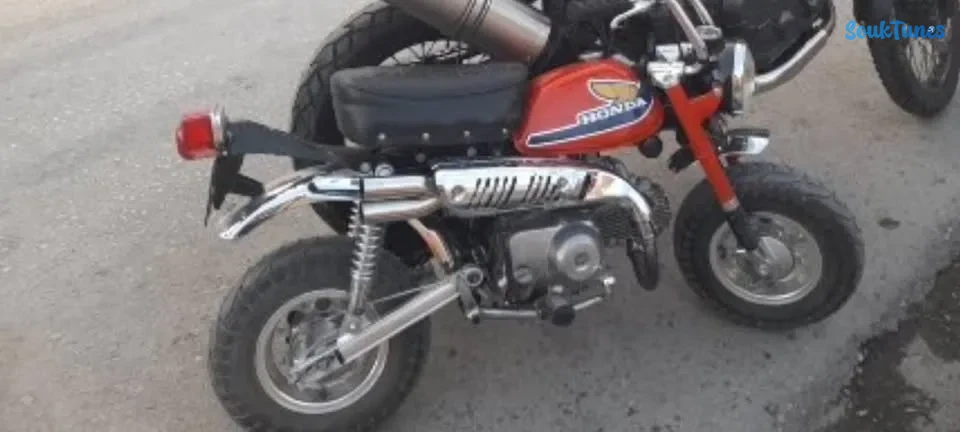 Image 10 de l'annonce Collection 8 motos Yamaha 50 GT + Honda monkey Z50
