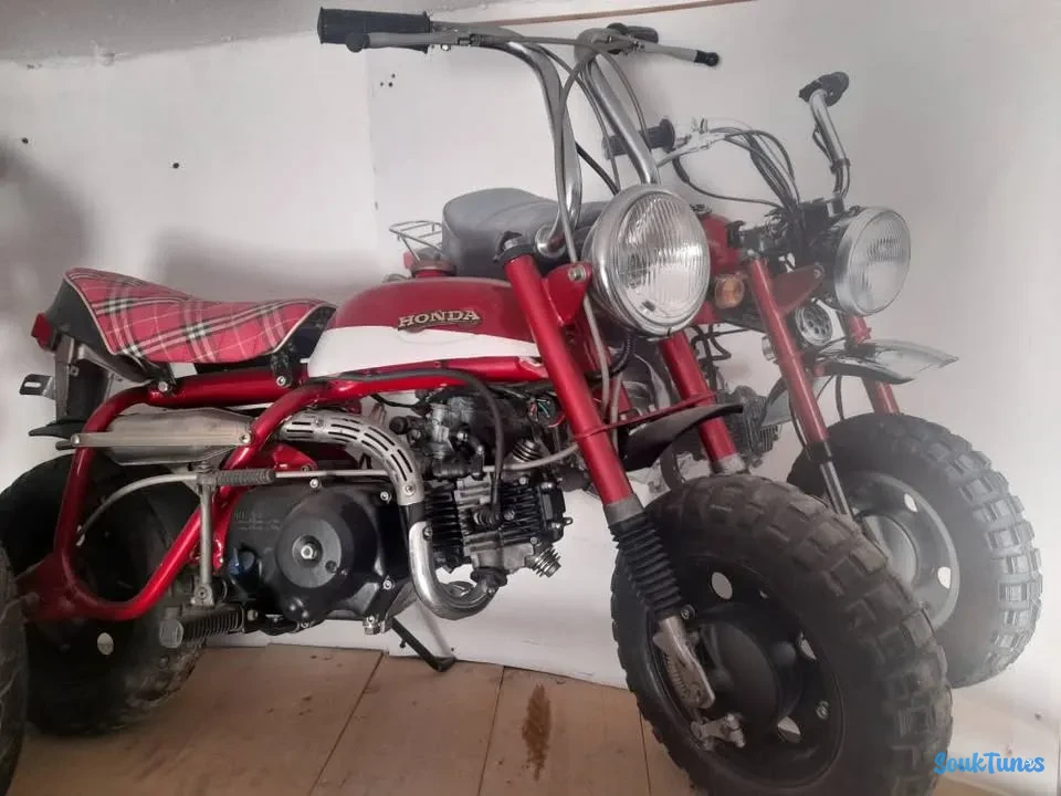 Image 5 de l'annonce Collection 8 motos Yamaha 50 GT + Honda monkey Z50