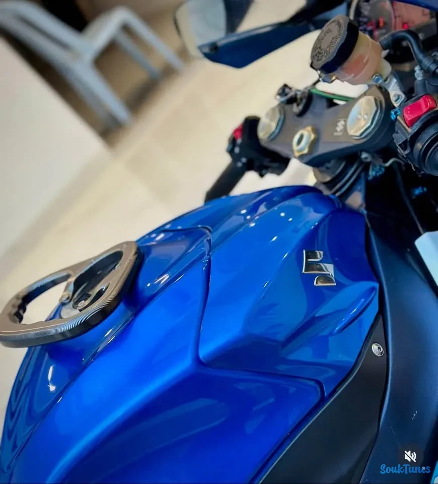 Image 8 de l'annonce GSX-R 1000