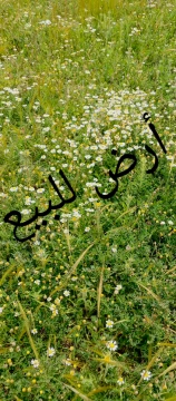 Image principale de l'annonce ارض للبيع 4 كتارات و ربع