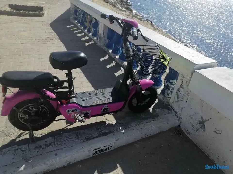 Image 4 de l'annonce Moto électrique 350 w