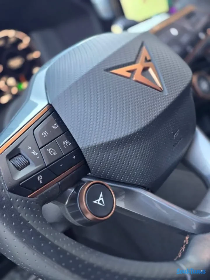 Image 17 de l'annonce BELLE CUPRA FORMENTOR HYBRIDE
