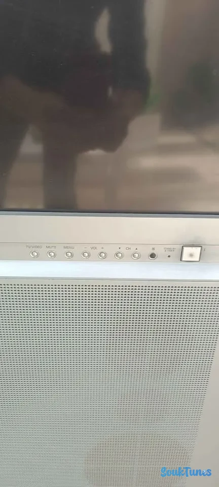 Image 7 de l'annonce TV Samsung SP-62T8HC 💰850 TND