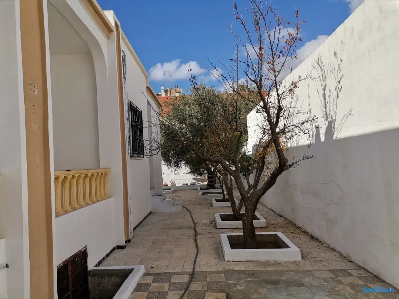 Image 3 de l'annonce A vendre villa et maisonnette