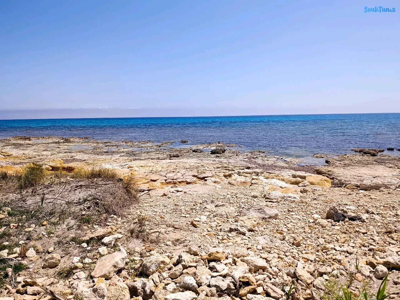 Image 11 de l'annonce Une villa pieds dans l'eau à Kerkouane 