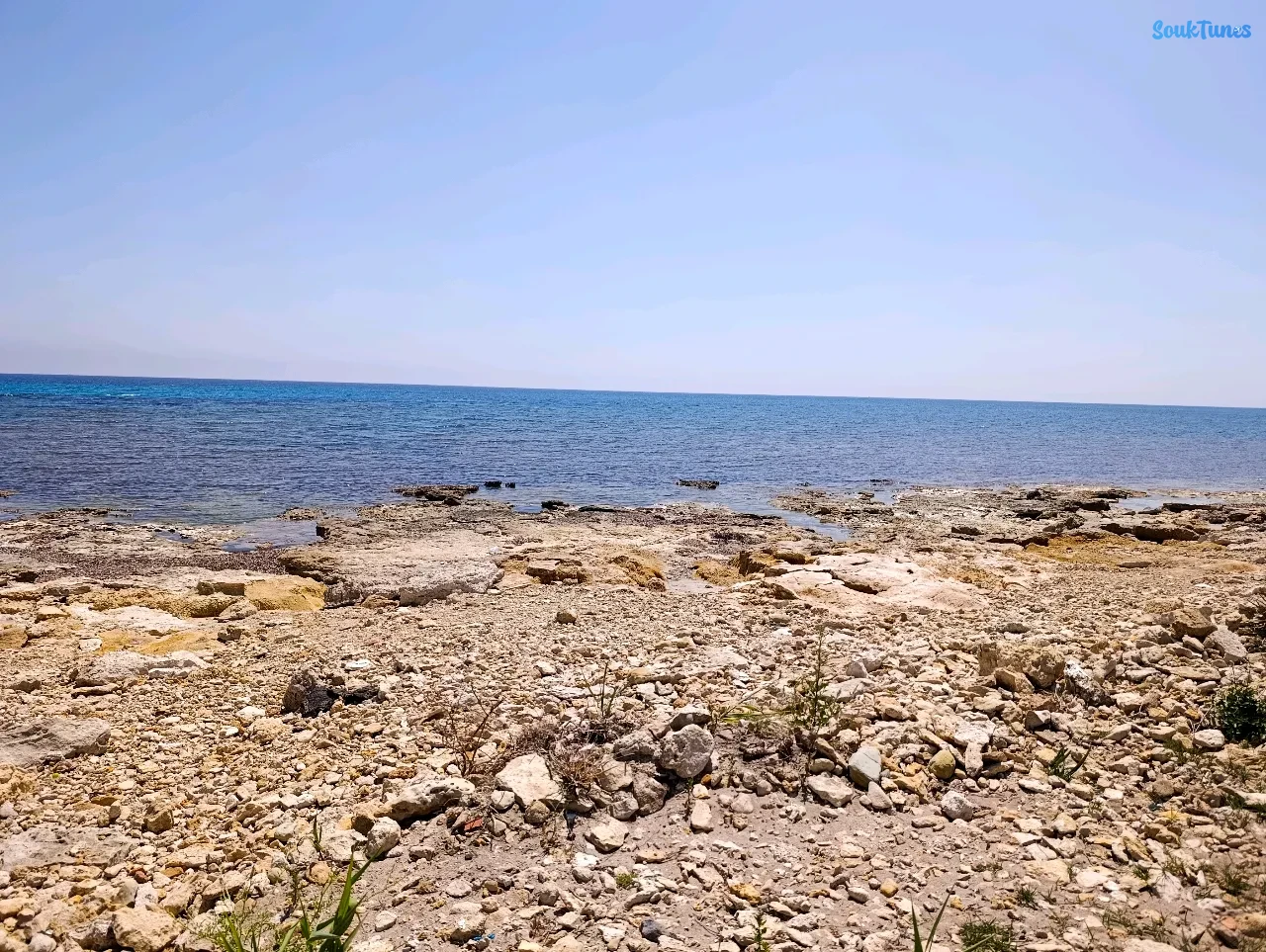 Image 10 de l'annonce Une villa pieds dans l'eau à Kerkouane 