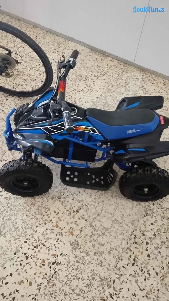 Image 5 de l'annonce QUAD neuve