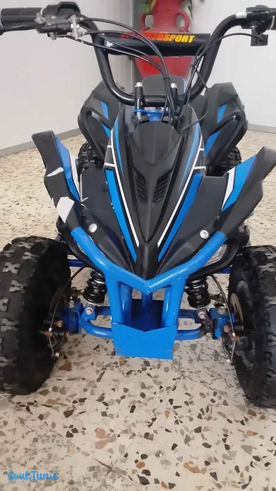 Image 4 de l'annonce QUAD neuve