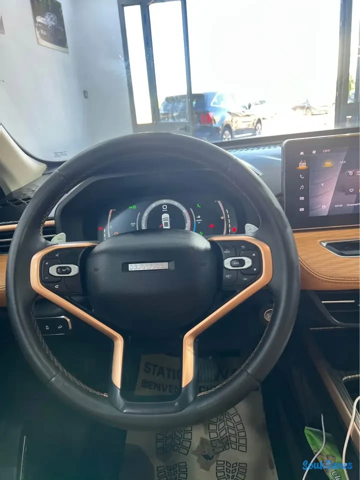 Image 6 de l'annonce Haval Jolion
