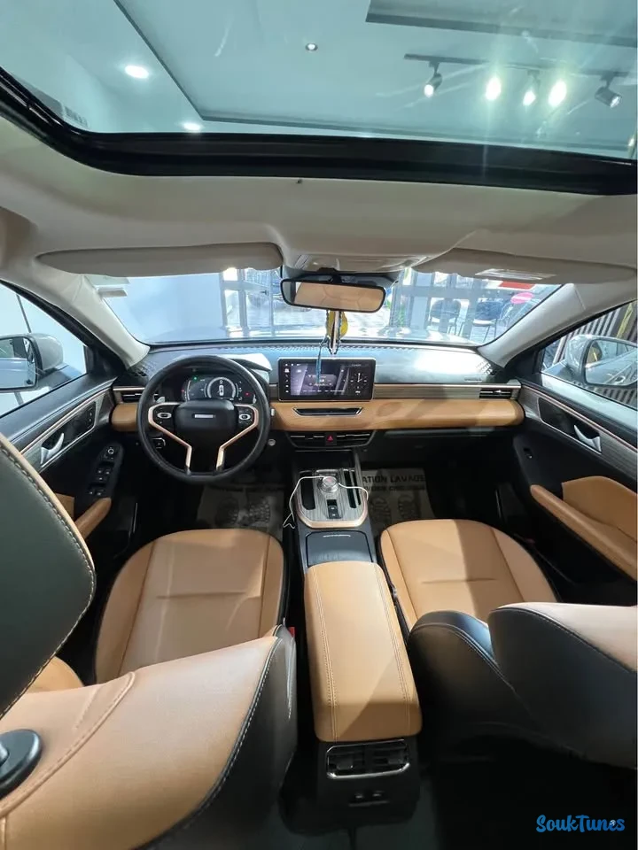 Image 7 de l'annonce Haval Jolion