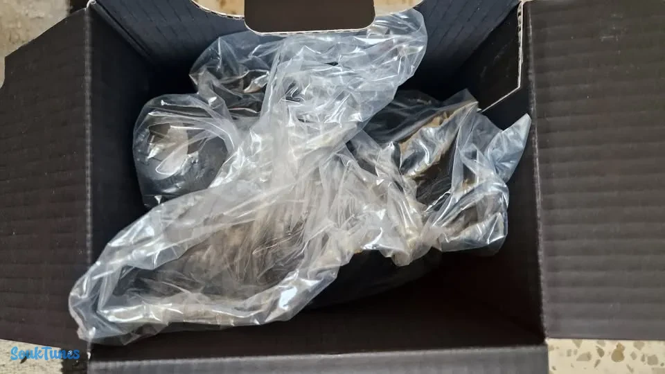 Image 4 de l'annonce Volant Logitech G29 + Boîte de vitesse