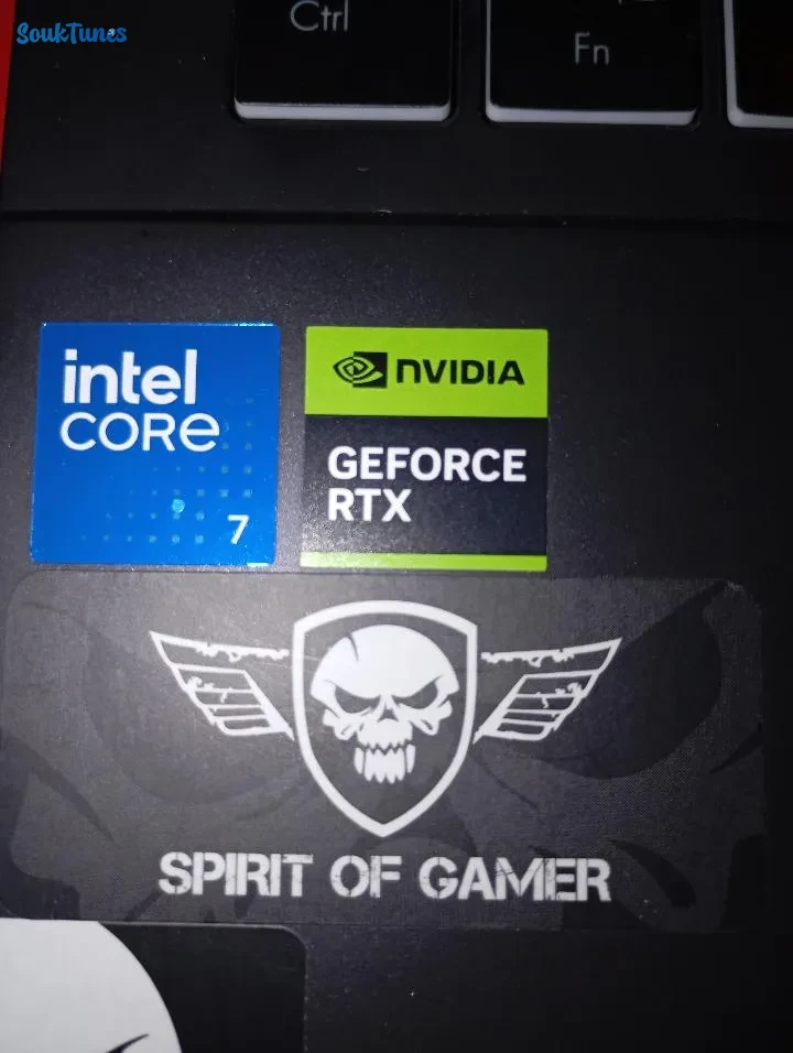 Image 6 de l'annonce Pc portable gamer asus v16 a vendre zone ariana 
