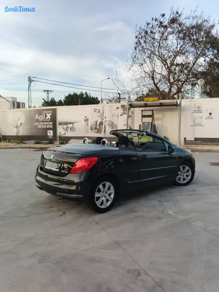Image 11 de l'annonce Peugeot 207 cc phase 2