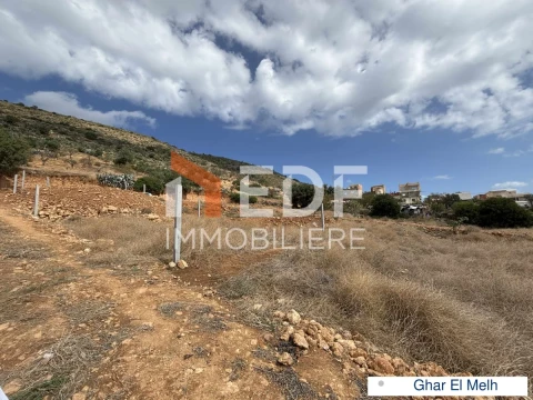 Image principale de l'annonce A Vendre Lotissement constructibles à Ghar EL Melh