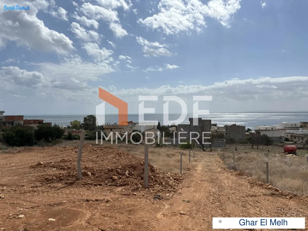 Image 5 de l'annonce A Vendre Lotissement constructibles à Ghar EL Melh