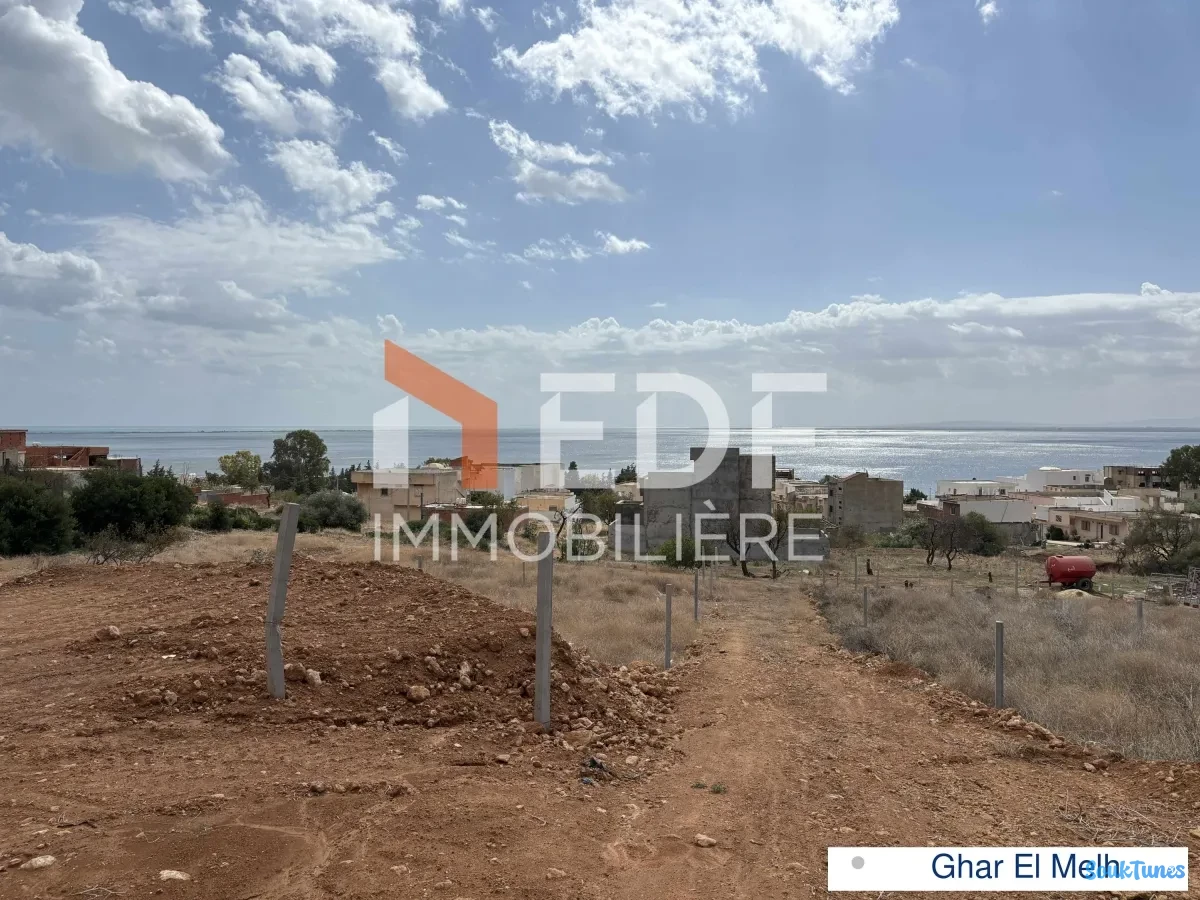 Image 4 de l'annonce A Vendre Lotissement constructibles à Ghar EL Melh