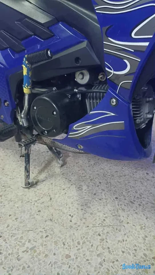 Image 5 de l'annonce Moto Hamer 2 110