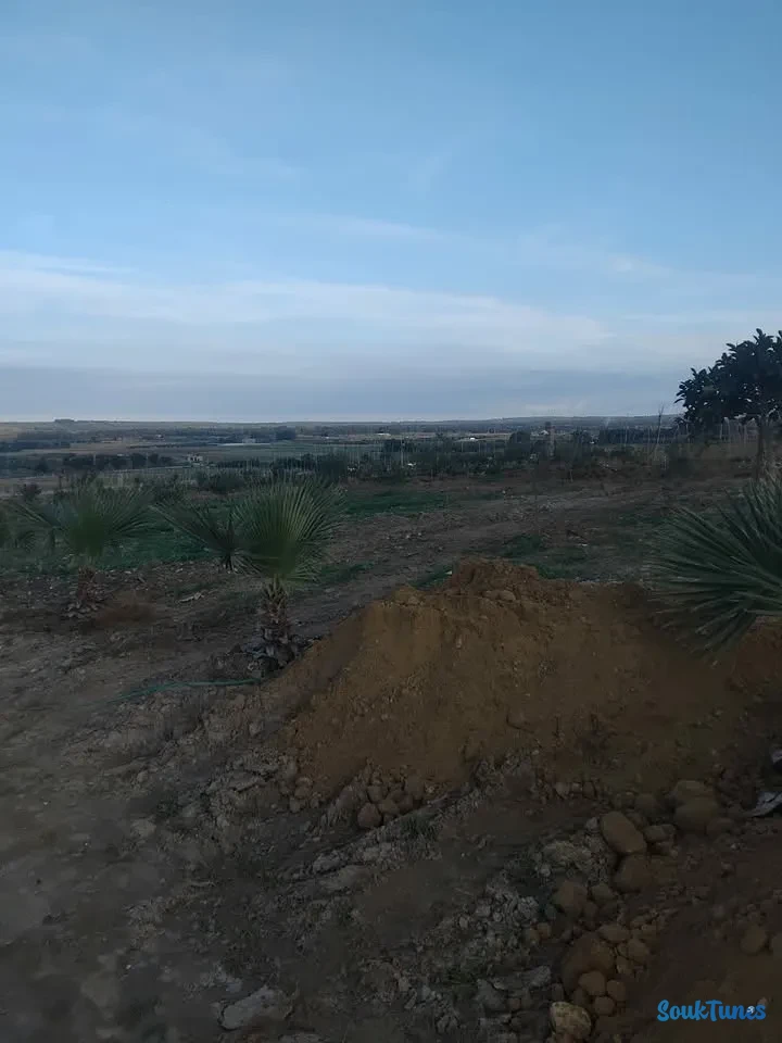 Image 6 de l'annonce Terrain 4000 m avec maison nouvellement bâtie