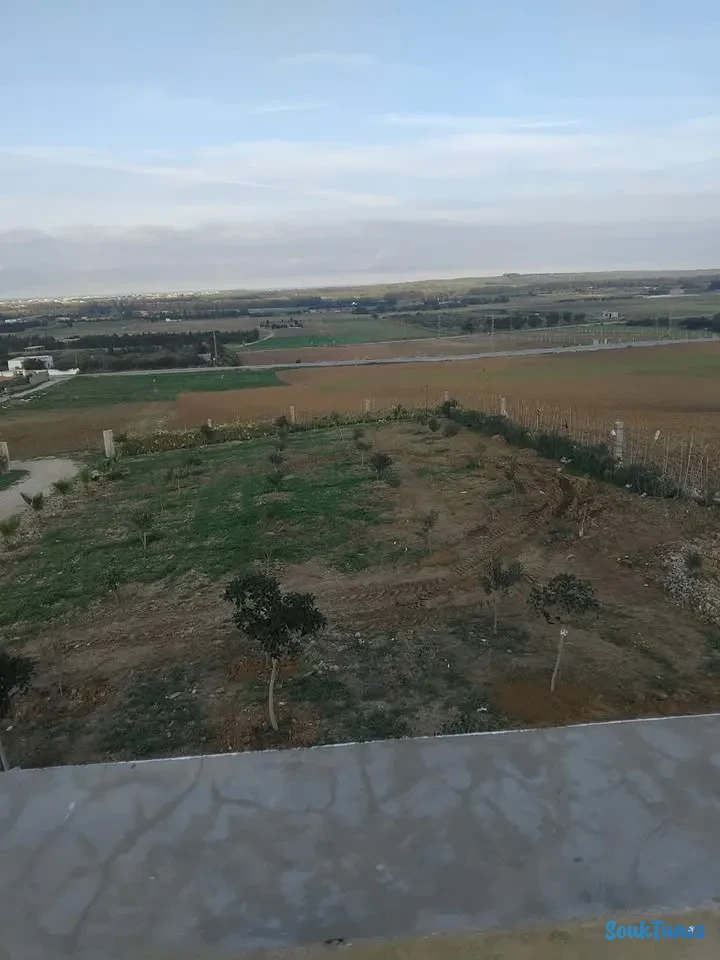 Image 10 de l'annonce Terrain 4000 m avec maison nouvellement bâtie