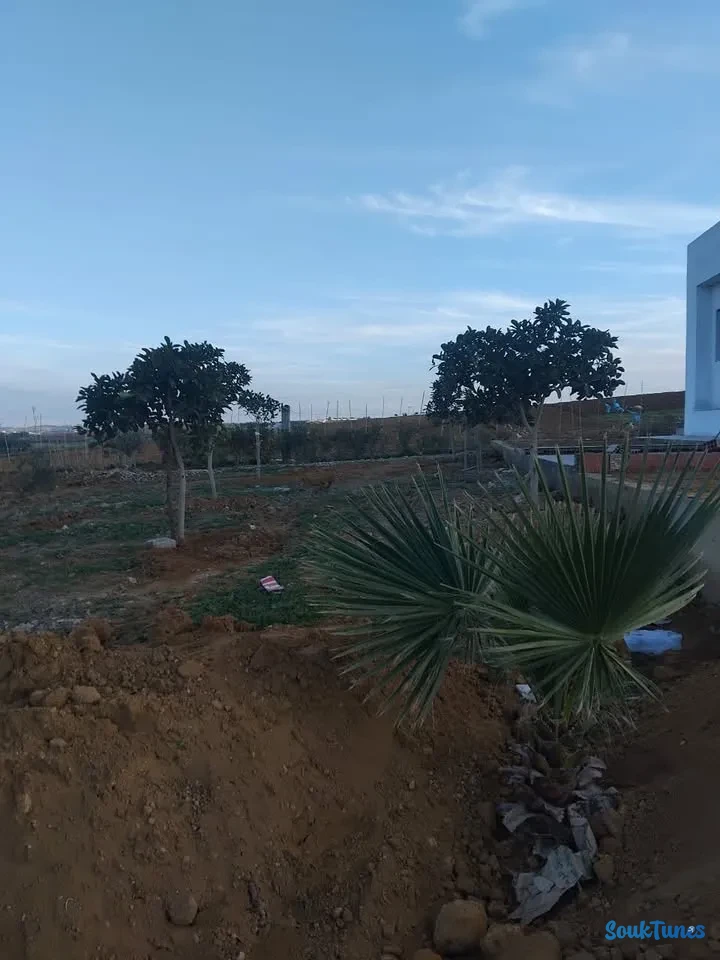 Image 9 de l'annonce Terrain 4000 m avec maison nouvellement bâtie