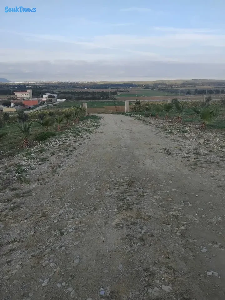 Image 5 de l'annonce Terrain 4000 m avec maison nouvellement bâtie