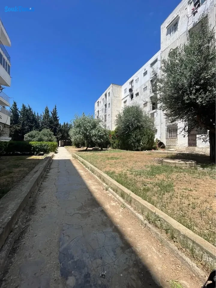 Image 9 de l'annonce S+2. À vendre 100 000 TND