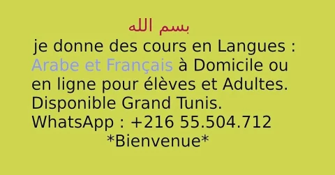 Image principale de l'annonce Cours à domicile 30 TND