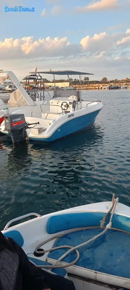 Image 7 de l'annonce AV  Bateau Shark 570 / 50 000 DT
