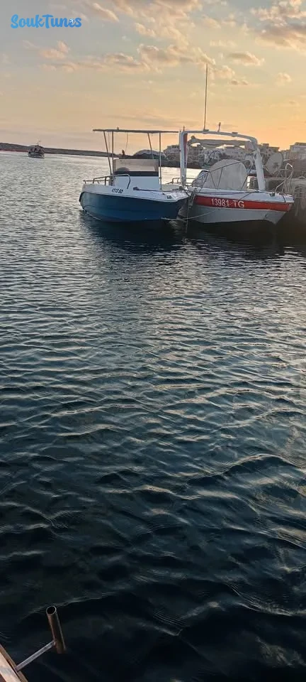 Image 6 de l'annonce AV  Bateau Shark 570 / 50 000 DT