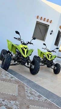 Image principale de l'annonce Raptor 700r