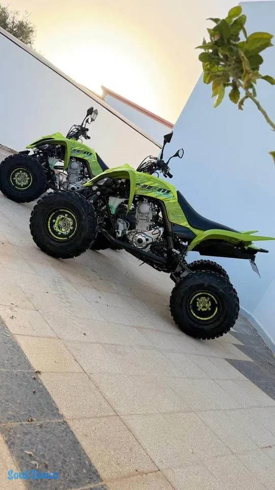 Image 5 de l'annonce Raptor 700r