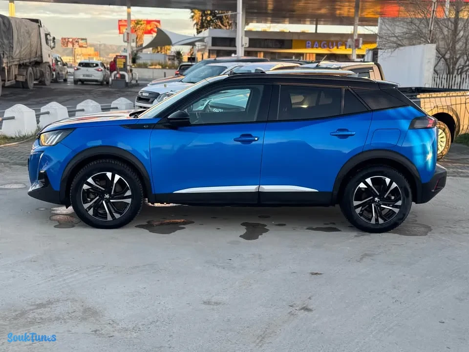 Image 4 de l'annonce 🏁 Peugeot 2008 électrique ⚡️ 🏁