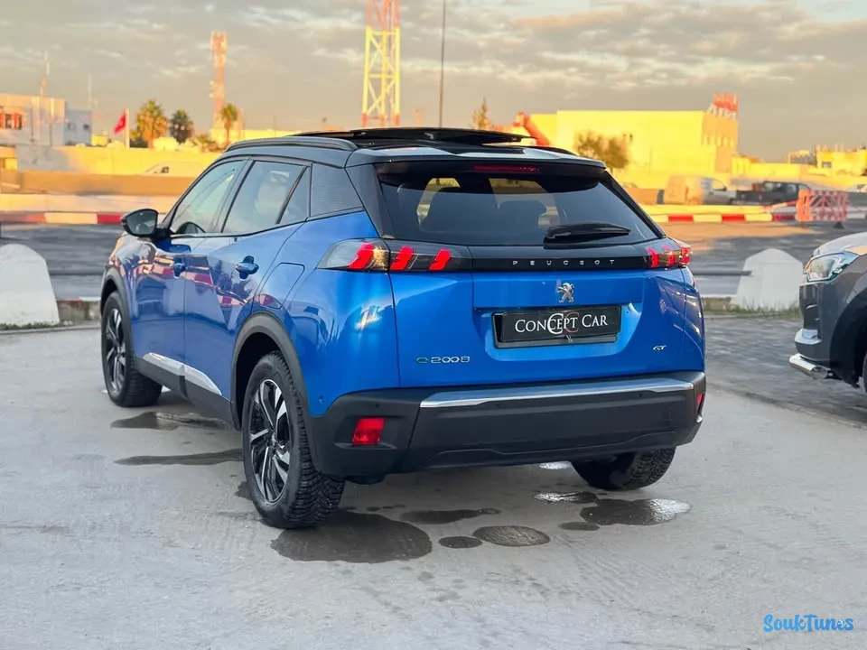 Image 7 de l'annonce 🏁 Peugeot 2008 électrique ⚡️ 🏁