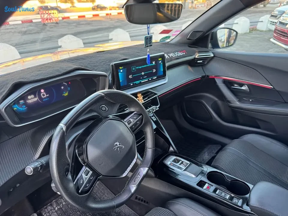 Image 10 de l'annonce 🏁 Peugeot 2008 électrique ⚡️ 🏁