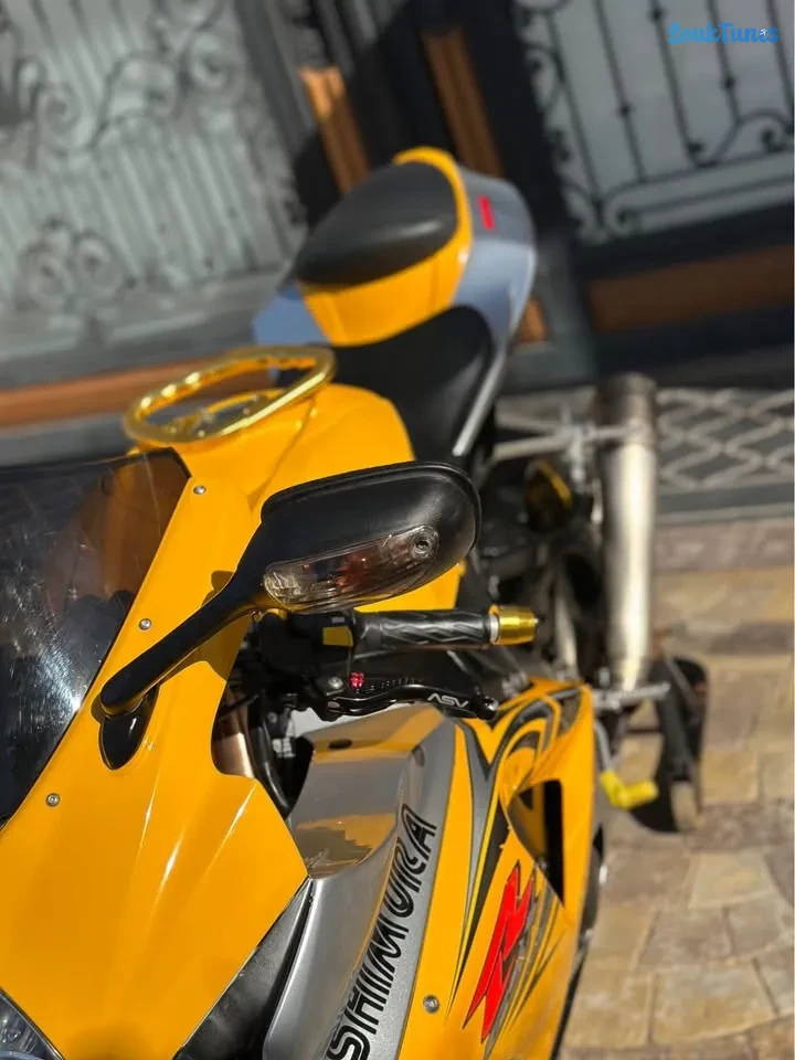 Image 8 de l'annonce Suzuki Gsxr 1000 k8