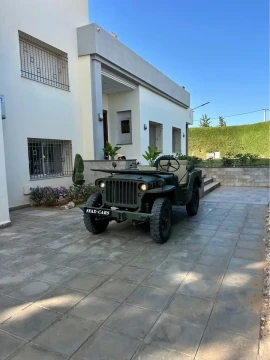 Image principale de l'annonce Jeep Willys