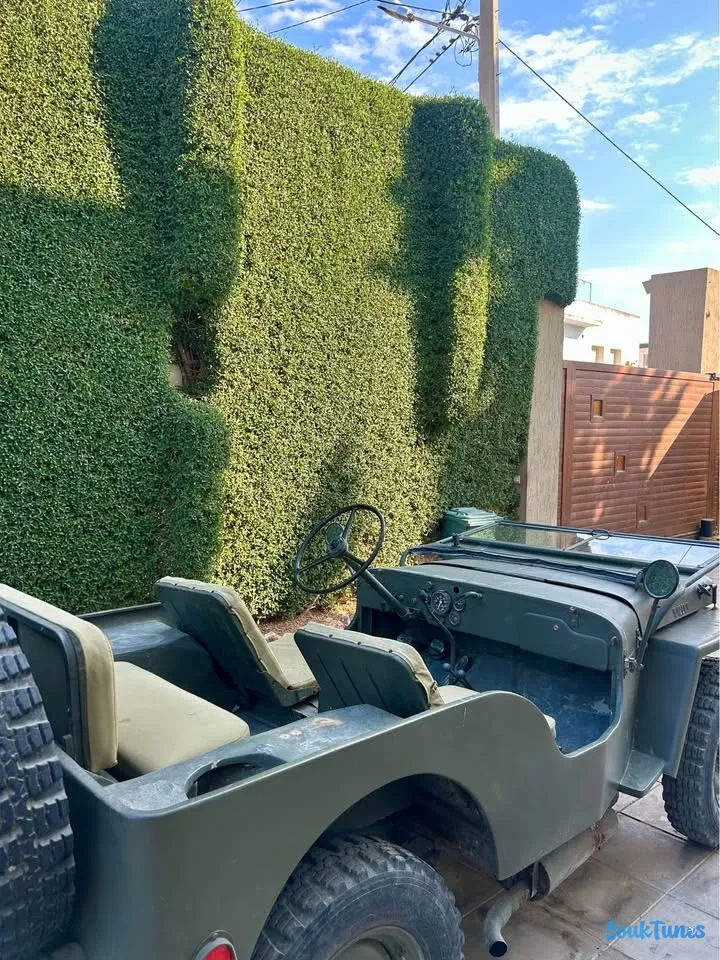 Image 7 de l'annonce Jeep Willys