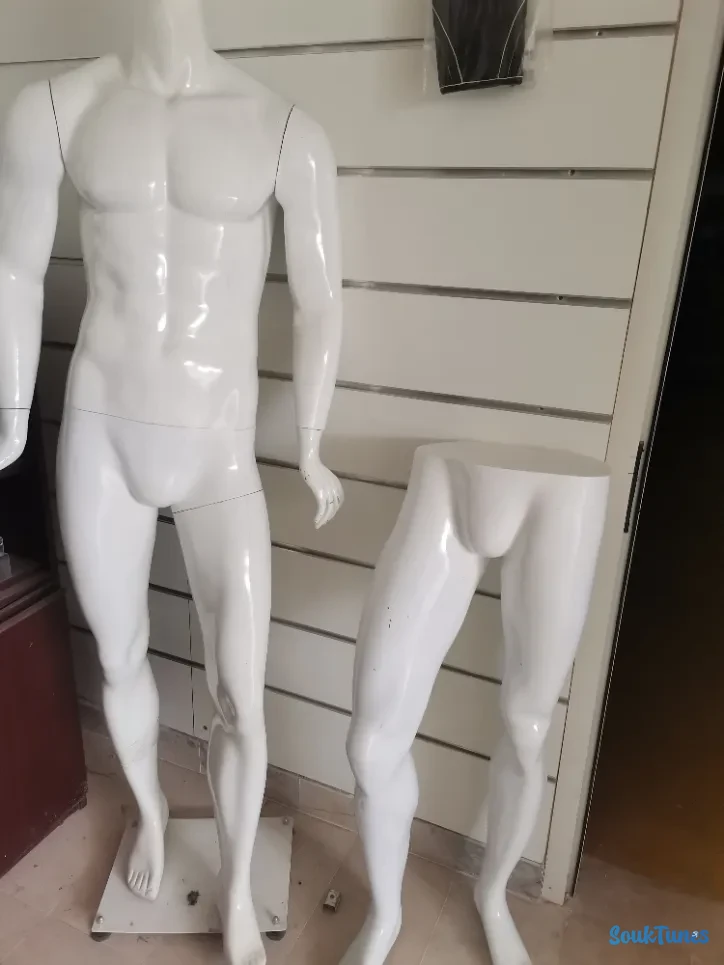 Image 6 de l'annonce Mannequins 