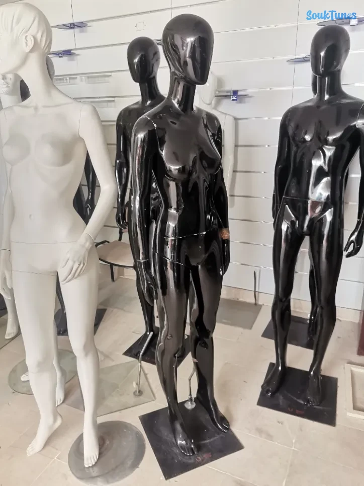 Image 5 de l'annonce Mannequins 