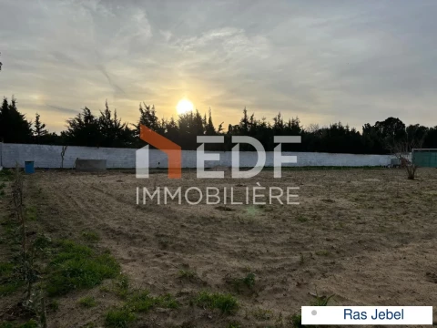Image principale de l'annonce A Vendre Terrain clôturé de 2329m² à Ras Jebel