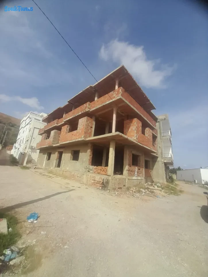 Image 12 de l'annonce immeuble a vendre a kelibia 