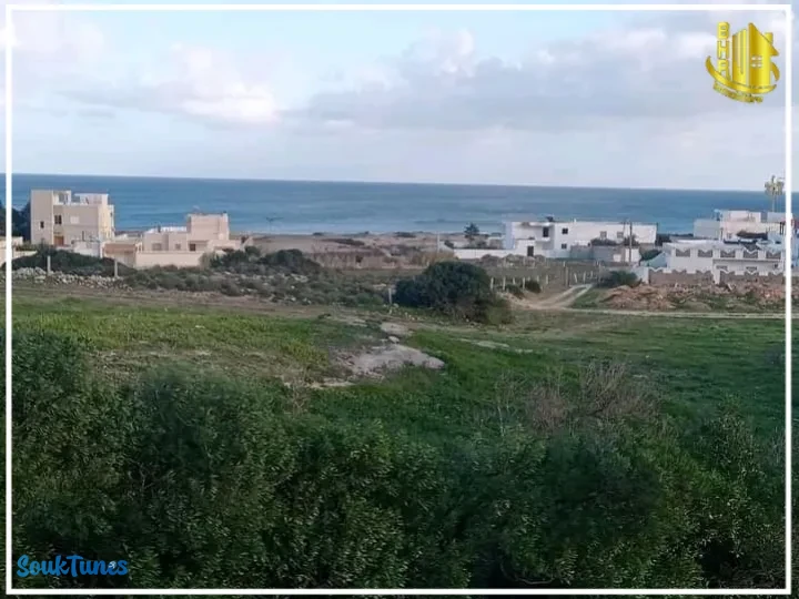 Image 4 de l'annonce منزل مستقل في الشط القبلي يبعد 100 متر على البحر 