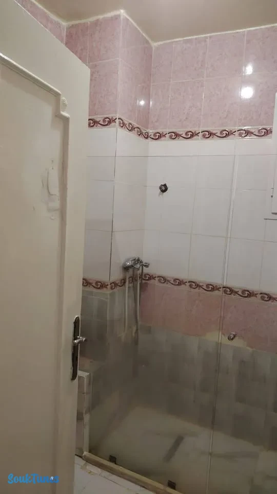 Image 5 de l'annonce s+2 au 2ème étage rénové
