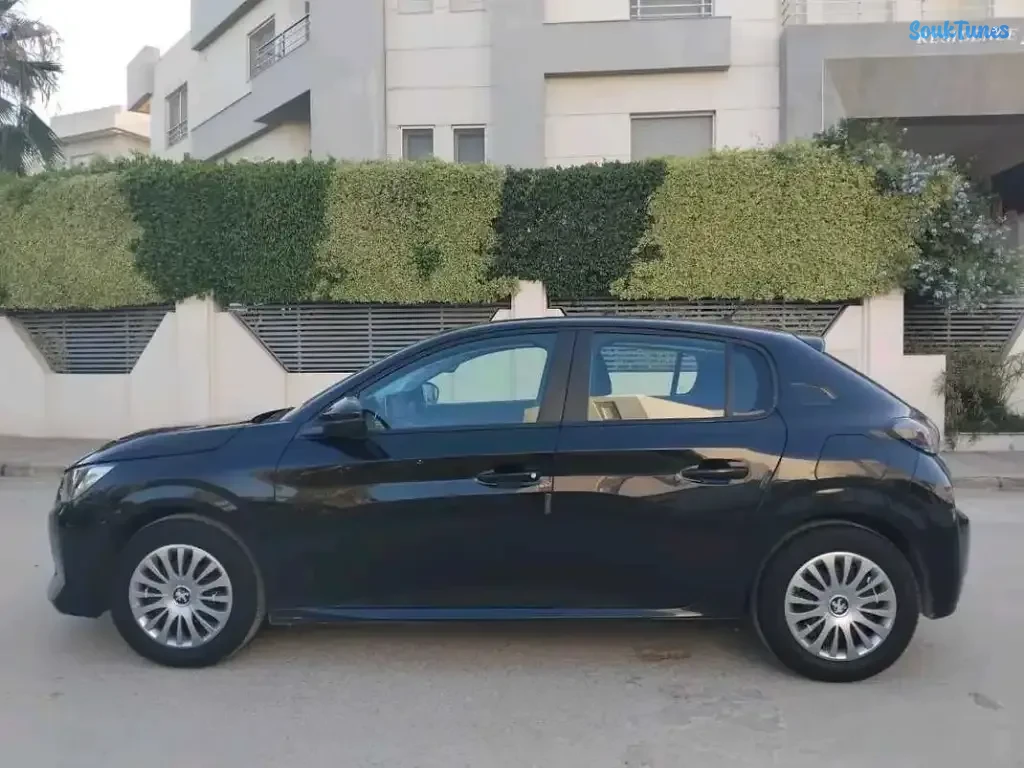 Image 4 de l'annonce PEUGEOT 20i ACTIVE PACK PREMIÈRE MAIN