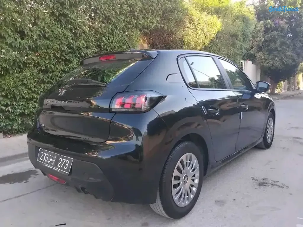 Image 8 de l'annonce PEUGEOT 20i ACTIVE PACK PREMIÈRE MAIN