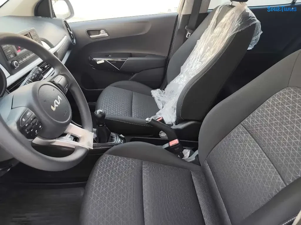 Image 9 de l'annonce Kia picanto
