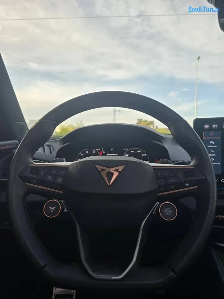 Image 5 de l'annonce CUPRA TERRAMAR X 2026